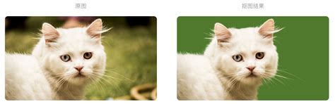 Ai 抠图填充 的图像结果