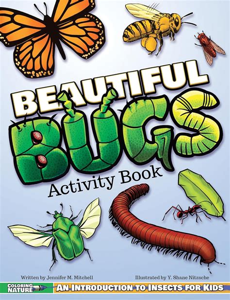 Beautiful Bugs Activity Book: An Introduction to Insects for Kids ...