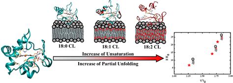 Dr.Karunakaran Venugopal | CSIR - National Institute For ...
