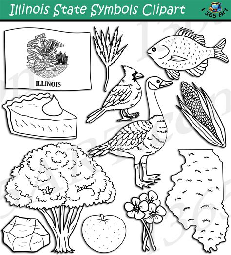 Illinois State Symbols Clipart Download - Clipart 4 School