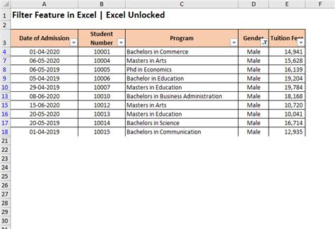 Excel Filter Features 的图像结果