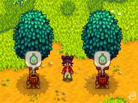 Oak Trees in Stardew Valley: Uses and How to Grow | Beebom