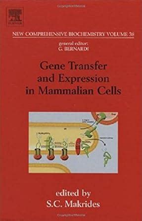 Gene Transfer and Expression in Mammalian Cells (ISSN Book 38) eBook ...