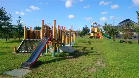 Image result for Distance Learning Program