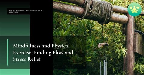 Exercise for Stress 的图像结果