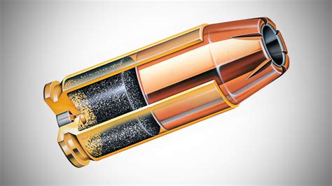 Parts Of A Cartridge Labeled at Chloe Papathanasopoulos blog