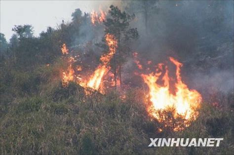 云南森林火灾2020最新消息 云南森林火灾消防员牺牲火因是什么-为什么