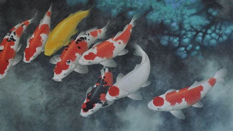 Koi Painting Wallpapers - Top Free Koi Painting Backgrounds - WallpaperAccess