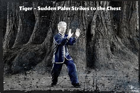 Xing Yi Quan - 10000 Victories Kung Fu