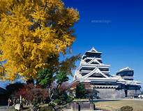 関連する画像の詳細をご覧ください。秋の熊本城 熊本県[01597001152]｜ 写真素材・ストックフォト・画像・イラスト素材｜アマナイメージズ