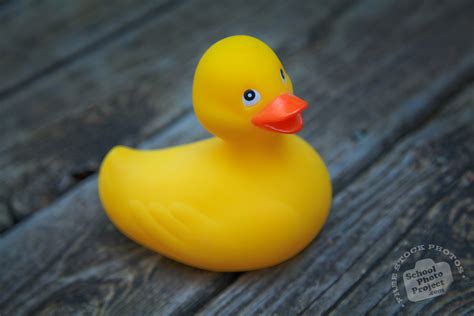 Rubber Duck, FREE Stock Photo, Image, Picture: Big Yellow Rubber Duck ...