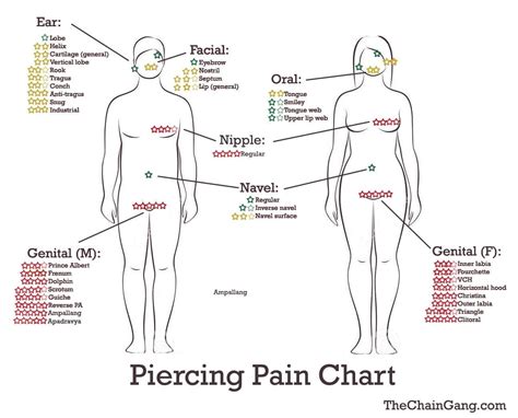 10 Piercing Chart You Wish You Knew About - The Polka Dot Daisy
