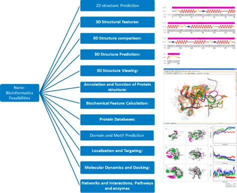 Image result for Bioinformatics Tools