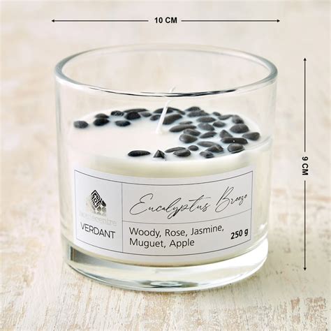 Buy Verdant Eucalyptus Breeze Scented Jar Candle from Home Centre at ...