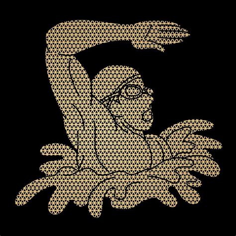 Image result for Invector Swimming