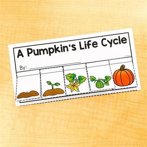 Pumpkin Life Cycle Activities for Kindergarten - Katie Roltgen Teaching