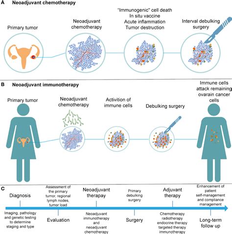 Frontiers | Immunotherapy for Ovarian Cancer: Adjuvant, Combination, and Neoadjuvant