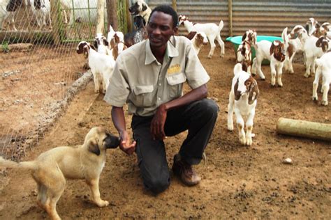 Image result for Convert Int to STR Python