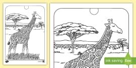 Giraffe Colouring | Colouring Pages for Kids | Twinkl