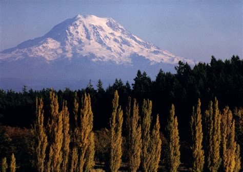 Pierce College: Fees, Reviews, Rankings, Courses & Contact info