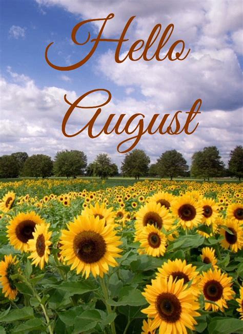 hello august images