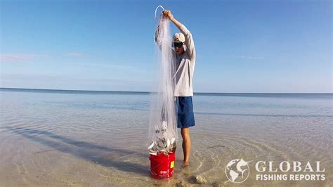 Cast Nets To Catch Bait Fish | Net Size and Mesh Size Options