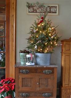 Tree Ideas For Small Spaces by 37 Inspiring Tree Ideas For Small Spaces Feed Tree Ideas For Small Spaces