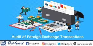Audit of Foreign Exchange Transactions