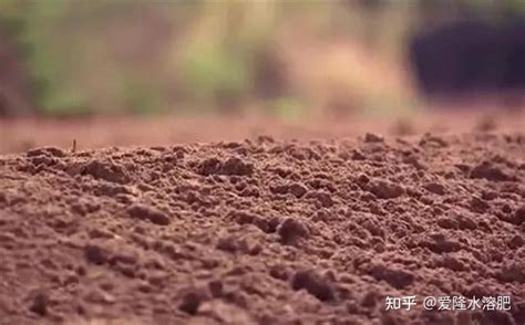 【世界土壤日】一起了解土壤环境的重要性 - 土壤改良 - 新农资360网|土壤改良|果树种植|蔬菜种植|种植示范田|品牌展播|农资微专栏