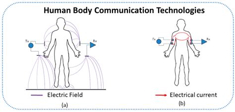 Image result for Human Coupling Position