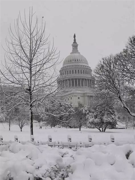 bomb cyclone: 'Bomb cyclone' brings snow to northeast US | EconomicTimes