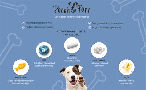 Buy POOCH & FURR (300 ML) Omega 3 + 6 + 9 Alaskan Salmon Fish Oil for ...