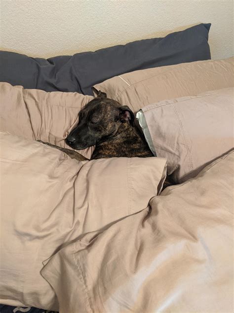 My mom’s busty friend woke up NAKED in my bed, so couldn't miss my chance - HottiesTwo