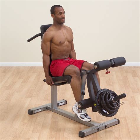 Body Solid Seated Leg Extension and Supine Curl - Fitness Equipment ...