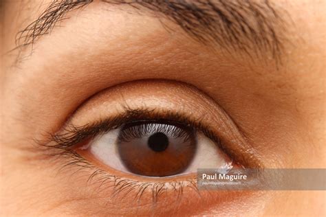 Image result for Indian Eye Tutorial