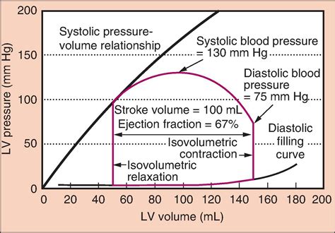 Clinical Cardiac and Pulmonary Physiology - Clinical Tree