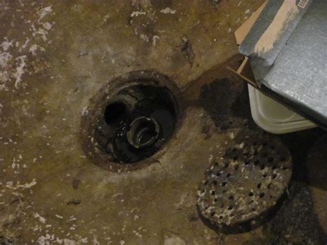 Basement Floor Drain Unclog
