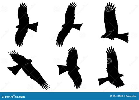Silhouette of Eagles - Black Kite Stock Illustration - Illustration of falcon, milvus: 61411380