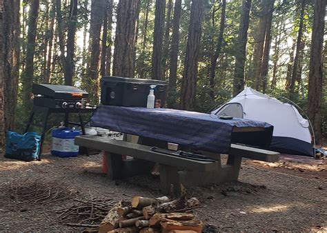 Seal Rock Campground Camping | The Dyrt