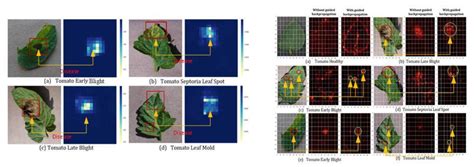 Plant Disease Detection and Classification by Deep Learning