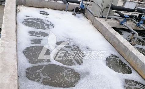 造纸纸厂污泥脱水视频_广州市绿丰环保机械有限公司