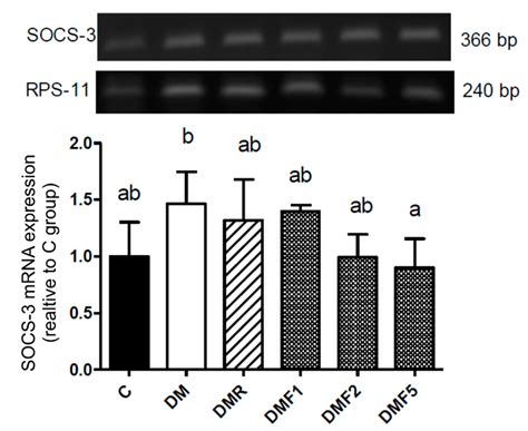 Fucoxanthin-Rich Brown Algae Extract Improves Male Reproductive ...