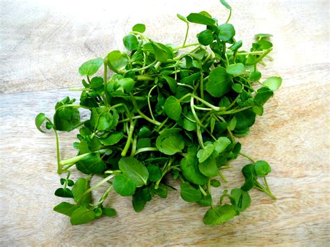 kalori quinoa