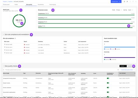 Image result for IBM Data Quality Tutorial