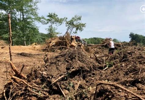 Alec Baldwin tells on Randy Lerner after ex-Browns owner illegally cut ...