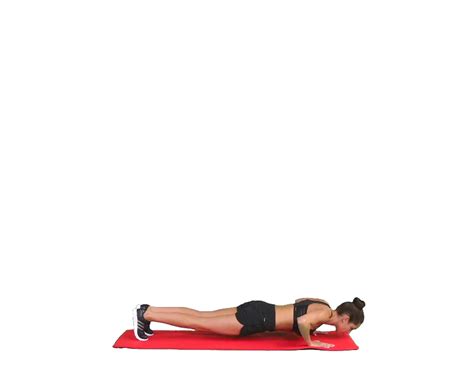 Image result for Push-Up Exercise