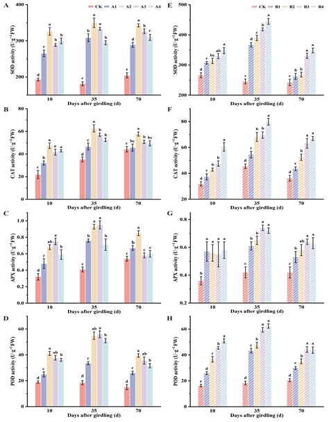 The Regulatory Effects of Different Girdling Treatments on Leaf ...