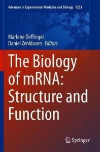 The Biology of mRNA: Structure and Function: Buy The Biology of mRNA ...
