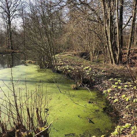 Christiansfeld Tourism (2024): All You Need to Know Before You Go