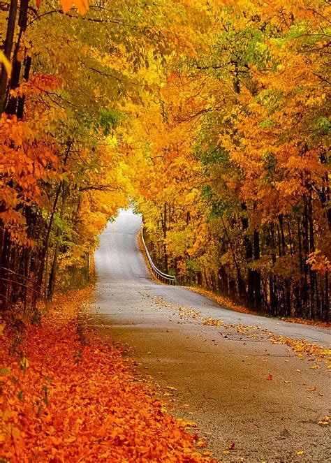 Image result for Fall From Step Ladder